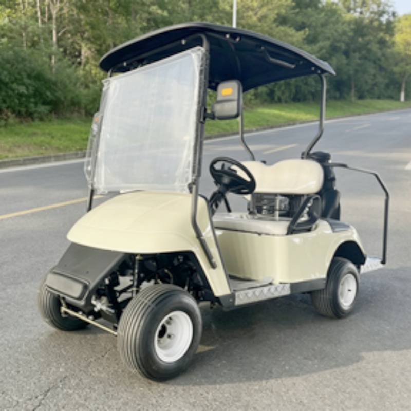 Hot Selling Street Legal Lithi - огляд і ціна Golf Bag Stand Cart