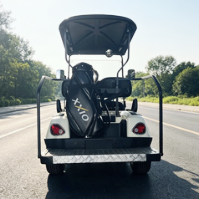 Hot Selling Street Legal Lithi - огляд і ціна Golf Bag Stand Cart