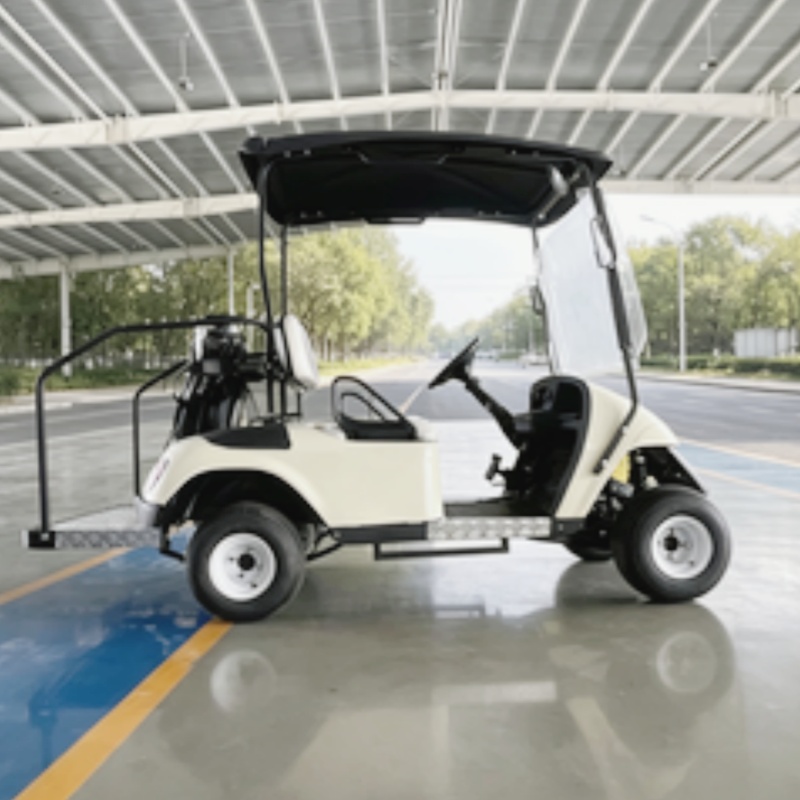 Hot Selling Street Legal Lithi - огляд і ціна Golf Bag Stand Cart