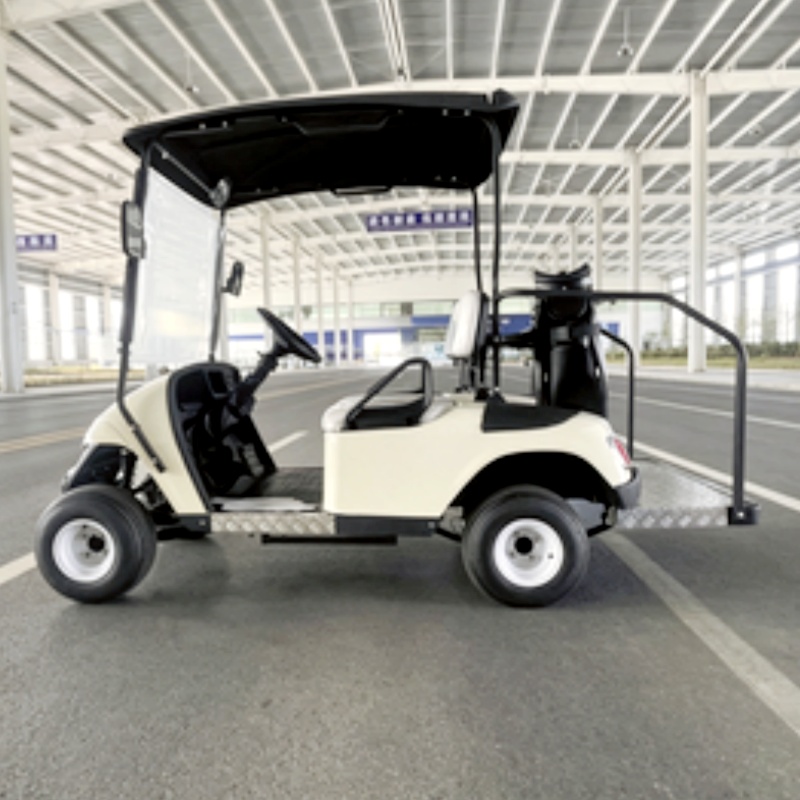 Two Seats New Electric Golf Ca - огляд і ціна Golf Bag Stand Cart