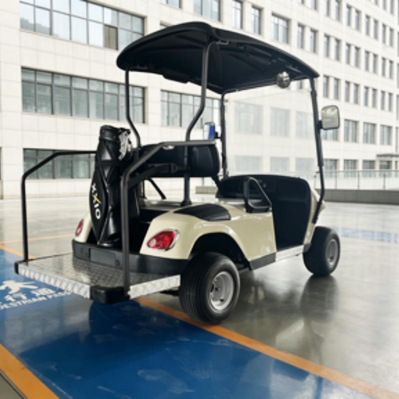 Hot Selling 5KW Motor Classic  - огляд і ціна Golf Bag Stand Cart