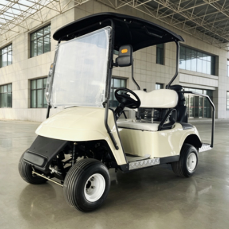Hot Selling 5KW Motor Classic  - огляд і ціна Golf Bag Stand Cart