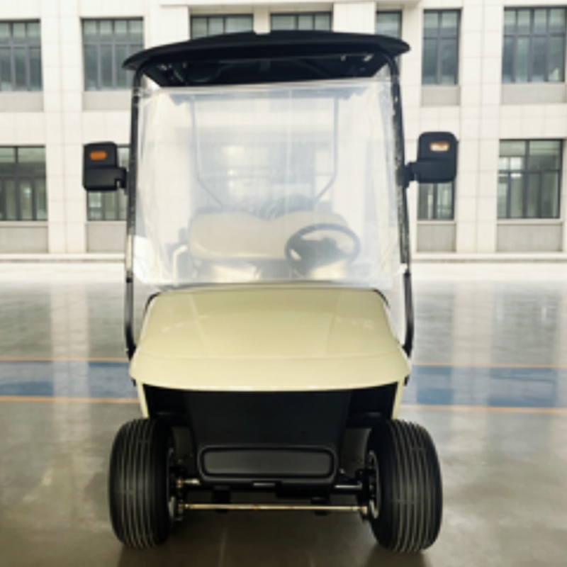 Hot Selling 5KW Motor Classic  - огляд і ціна Golf Bag Stand Cart